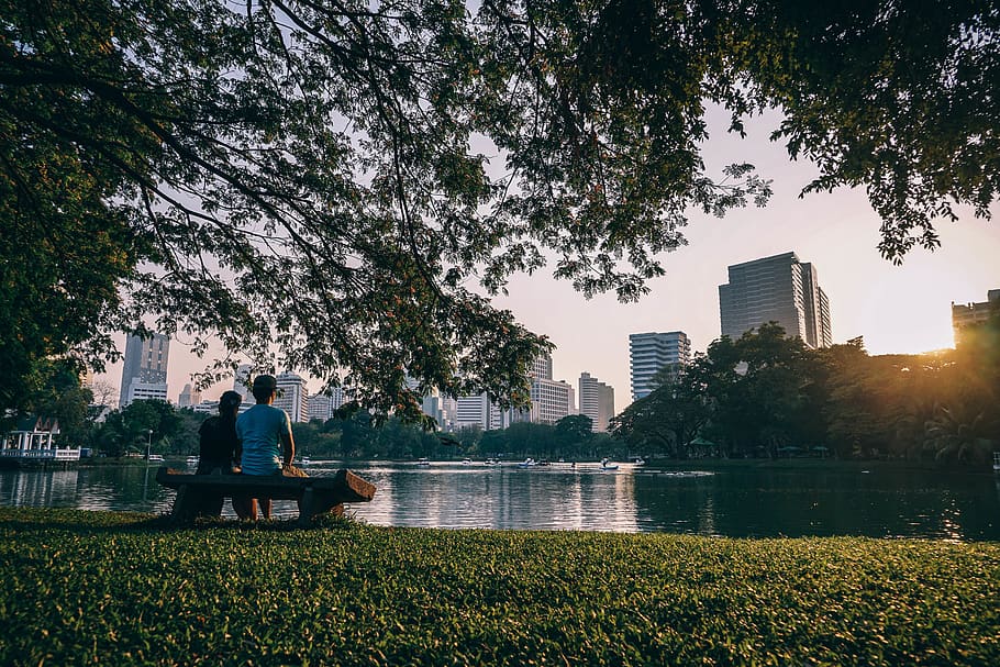 Couple Sitting on Bench Near Body of Water, architecture, branches, HD wallpaper