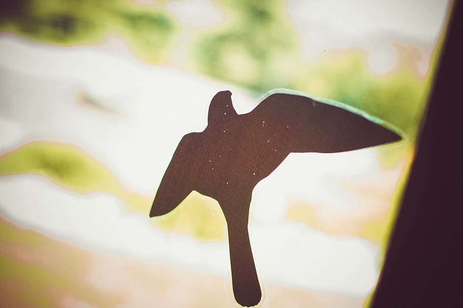 canada, cochrane, window, silhouette, sun, craft, bird, animal HD wallpaper