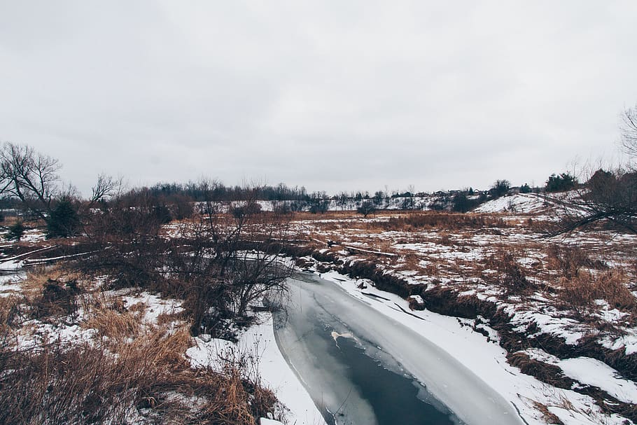 nature, landscape, snow, winter, weather, road, grass, plant HD wallpaper
