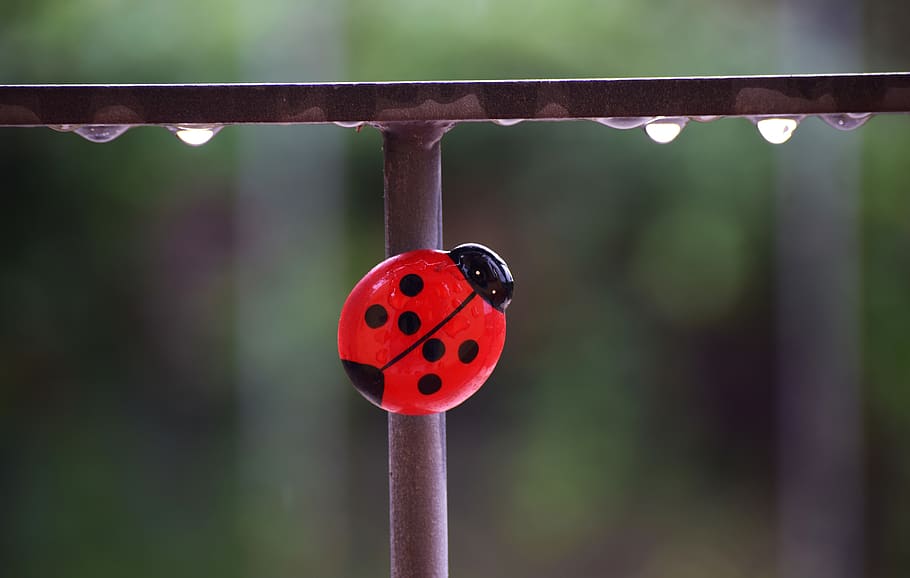 red, pop, object, funny, focus on foreground, close-up, day HD wallpaper