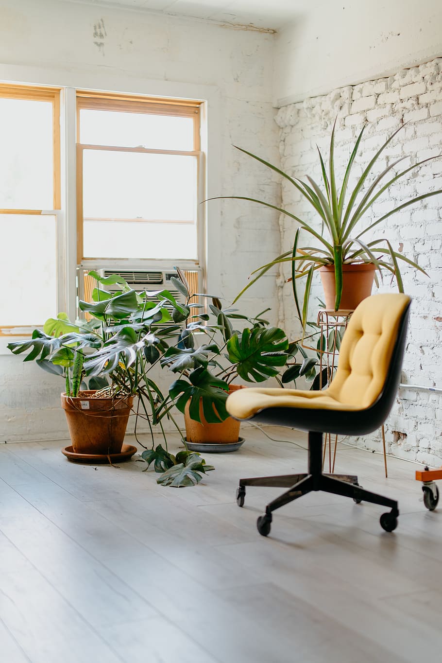 yellow rolling chair near window, officespace, minimal, plant HD wallpaper