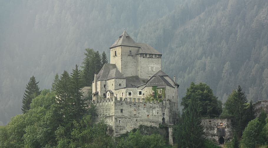 gray concrete castle during daytime, monastery, tree, architecture HD wallpaper