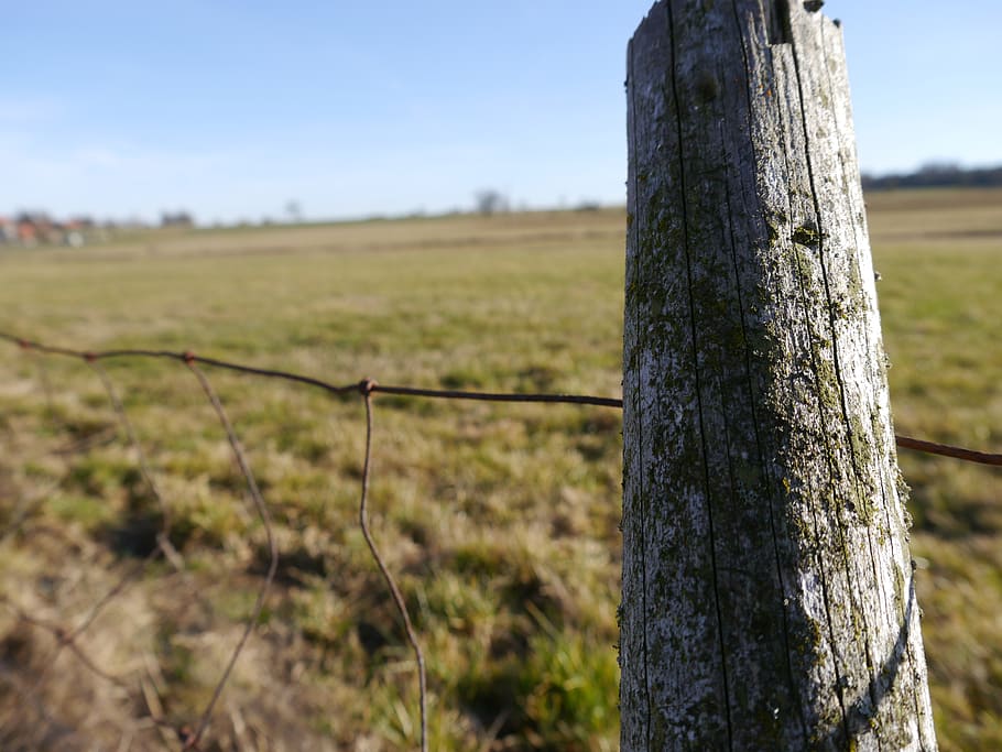 fence, focus on foreground, land, plant, landscape, field, nature HD wallpaper