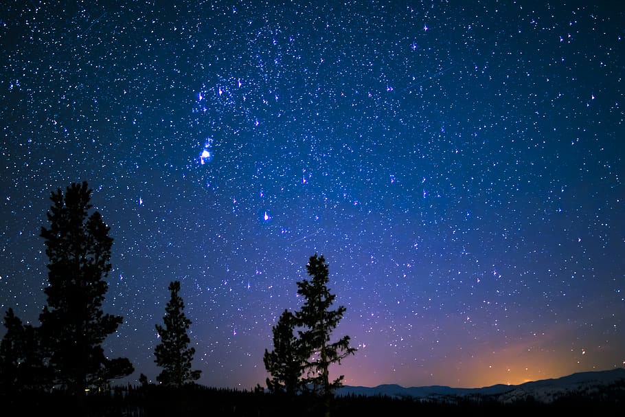 Silhouette of Trees and Mountain Under Blue Starry Sky, constellation HD wallpaper