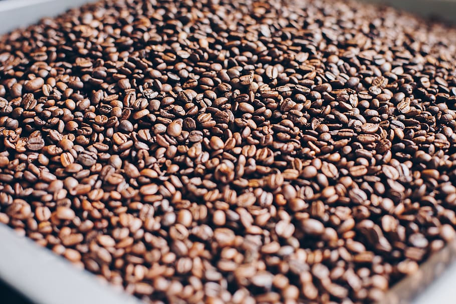 Close-Up Photography of Roasted Coffee Beans, aromatic, blur HD wallpaper