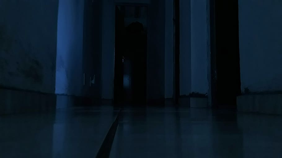 floor, flooring, indoors, corridor, lighting, room, wood, haunted HD wallpaper