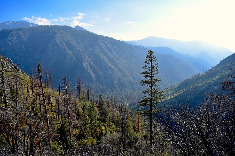 mountains, nature, trees, trail, wood, landscape, forest, season HD wallpaper