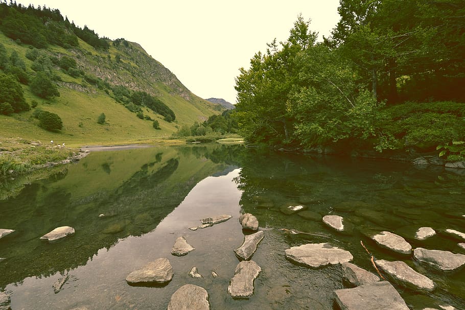 spain, arrós, saut deth pish, water, plant, tree, lake, tranquility HD wallpaper