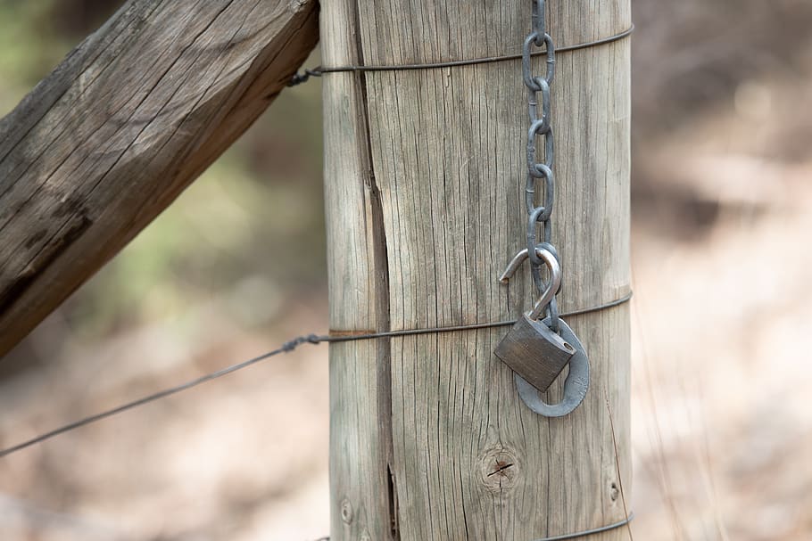 lock, padlock, chain, security, secure, metal, fence, wood HD wallpaper