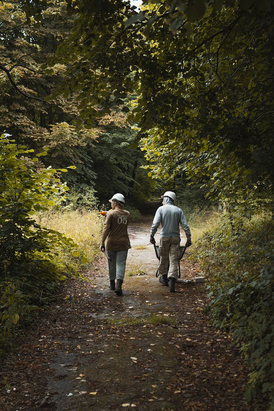 Two Men Walking on Way in Between Trees, adult, adventure, daylight, HD wallpaper