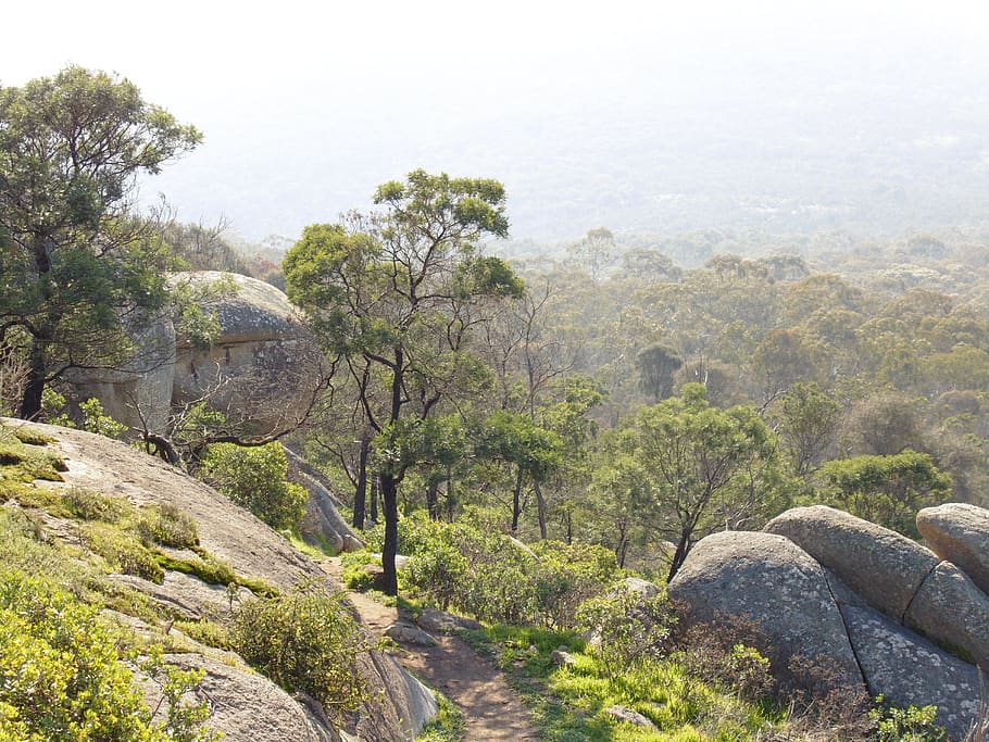 australia, little river, you yangs regional park, hills, trees, HD wallpaper