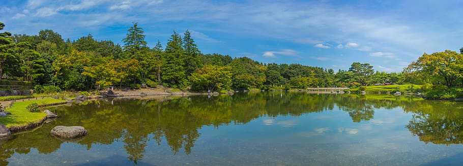 japan, tachikawa-shi, showa kinen park, garden, tree, water, HD wallpaper