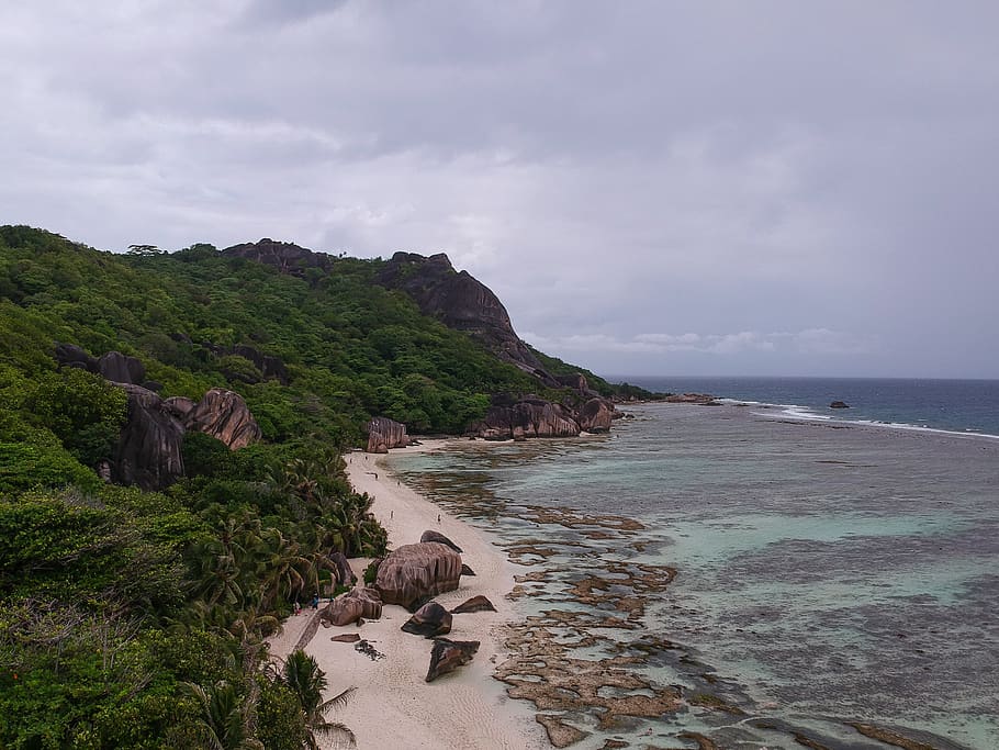 seychelles, anse source d'argent, unesco, trees, beach, ocean HD wallpaper