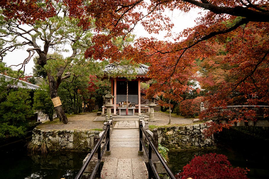 Temple trees