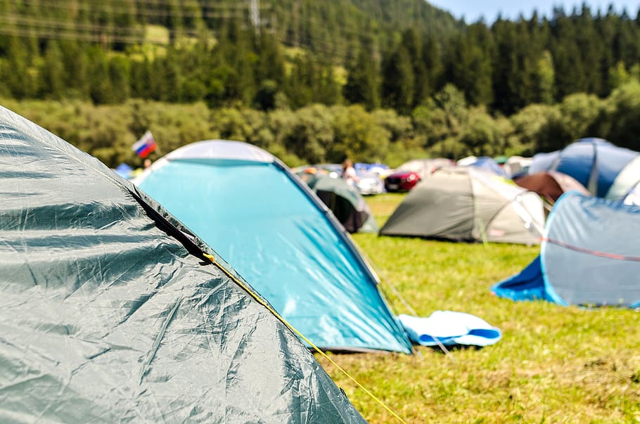 Tents Surrounded by Trees, activity, adventure, camp, camper HD wallpaper