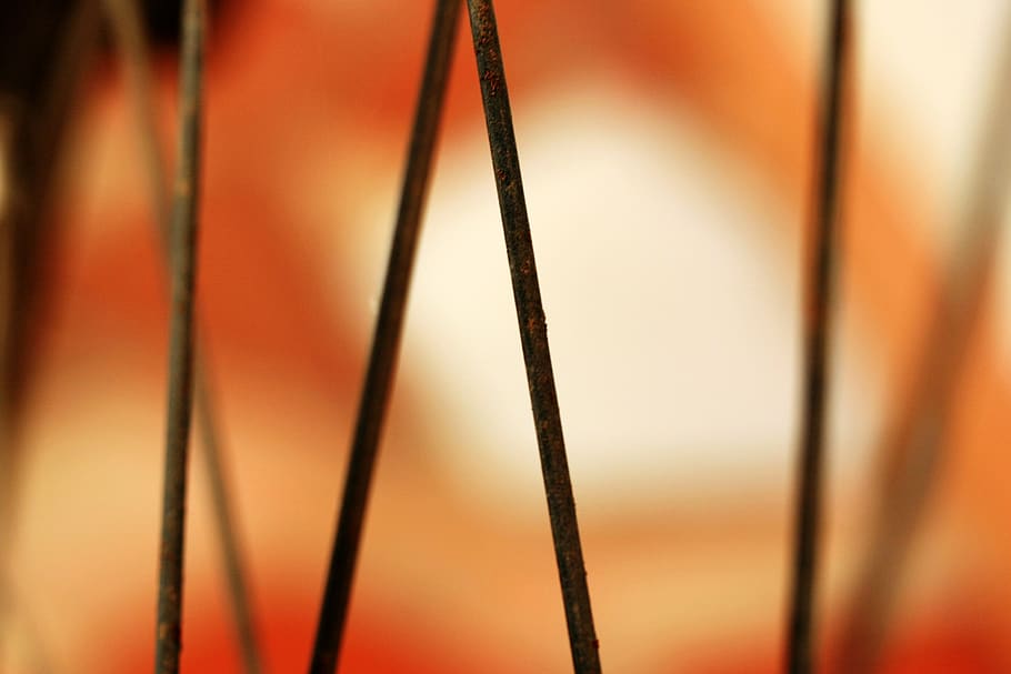 detail, close-up, no people, selective focus, backgrounds, full frame HD wallpaper