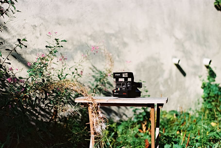black land camera on brown wooden bench, table, wall, bush, leaf HD wallpaper