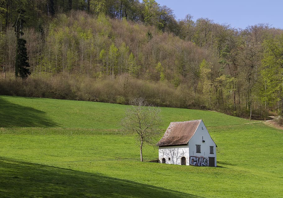 house, building, hut, scale, spring, tool shed, rural, meadow HD wallpaper
