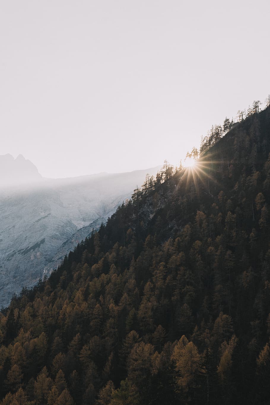 Aerial View of Mountain, clouds, daylight, environment, forest HD wallpaper
