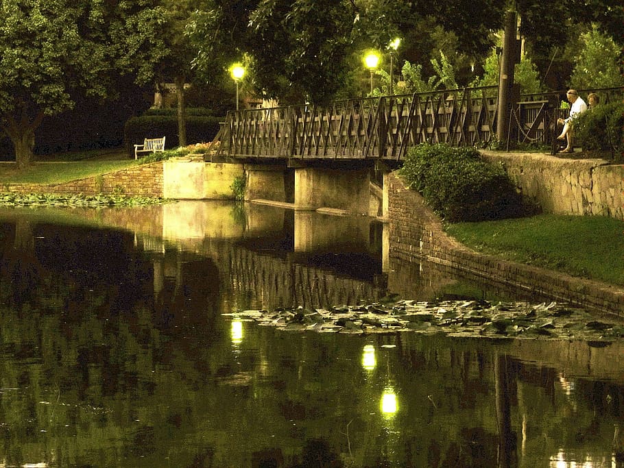 footbridge, construction, river, lake, reflection, water, plant HD wallpaper