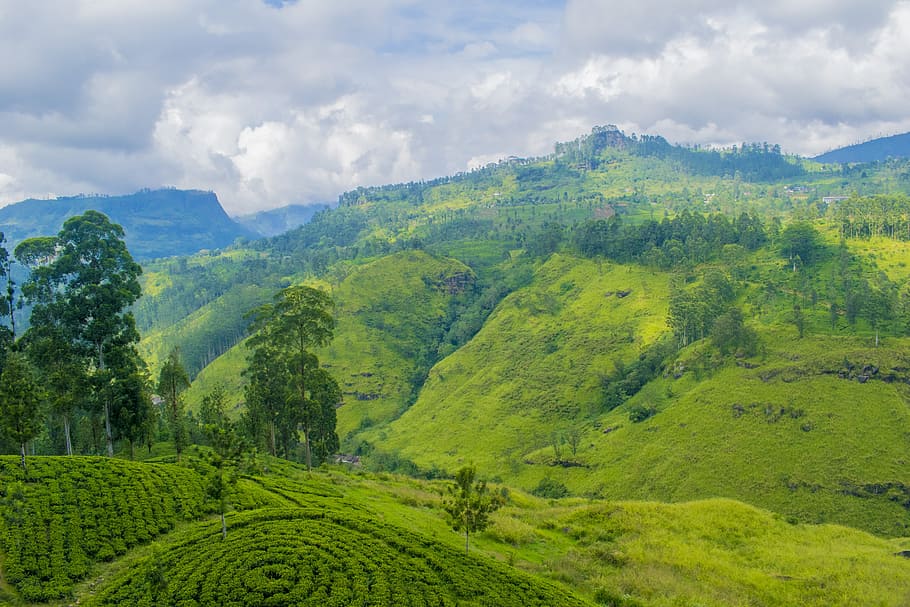Aerial Photography of Green Mountains, agriculture, clouds, countryside HD wallpaper