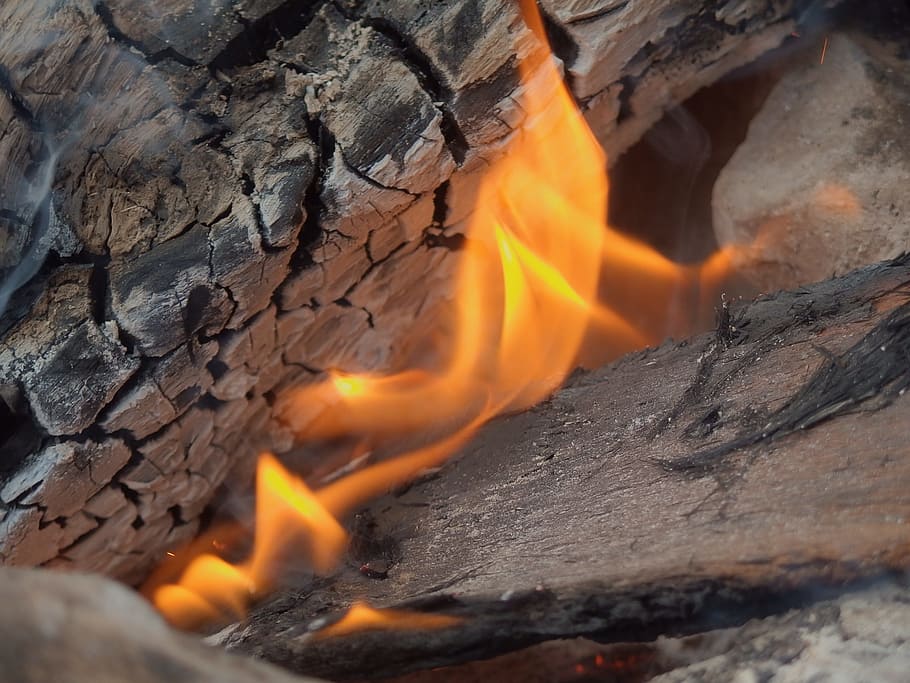 charcole, wood, burn, burning, fire, slowmotion, photo, shot, HD wallpaper