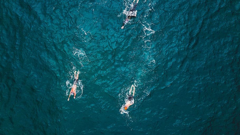 Person Swimming on Ocean, action, active, bird's eye view, daylight