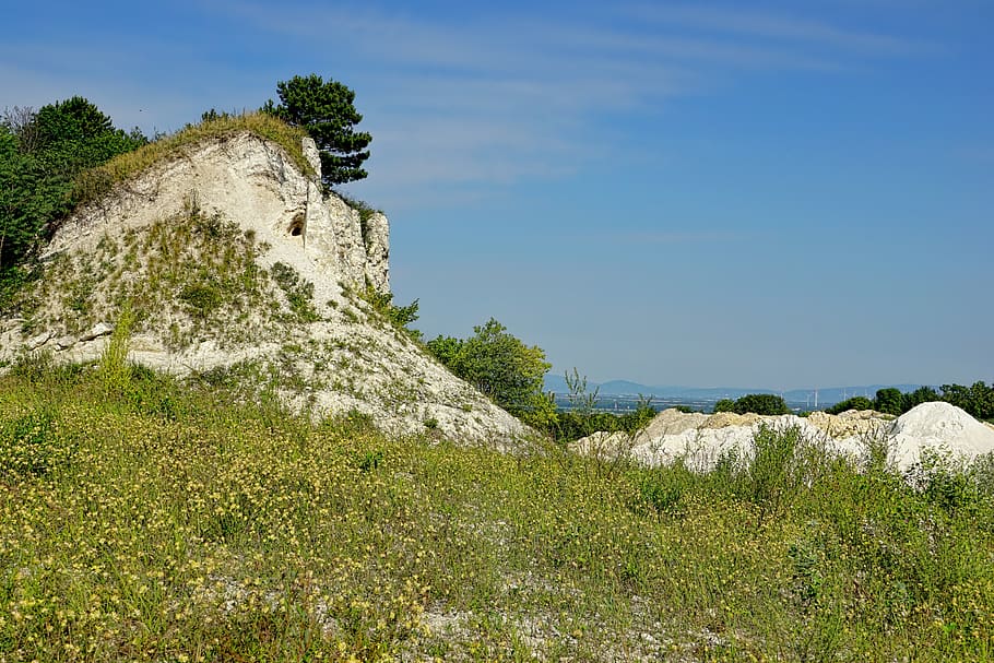 nature, white cliffs, trees, sky, blue, plant, beauty in nature HD wallpaper