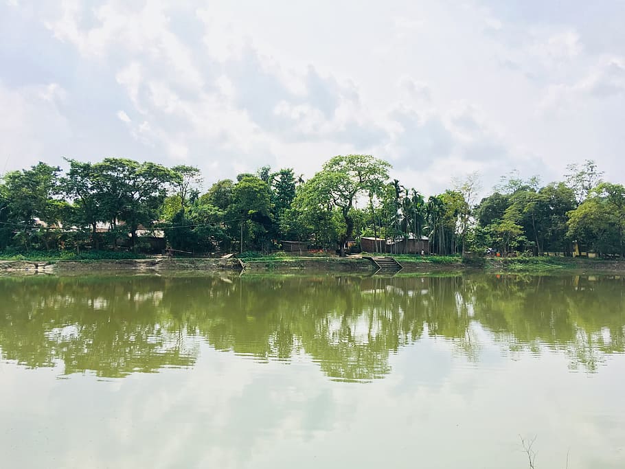 Body of Water Near Trees Under Cloudy Sky, beautiful, clouds HD wallpaper