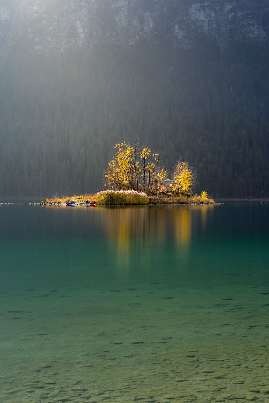 yellow tree on island, water, outdoors, sea, nature, ocean, shoreline HD wallpaper