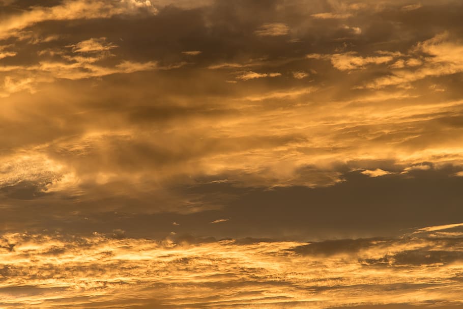 sunset, sky, orange, grey, clouds, layered, horizon, trees HD wallpaper