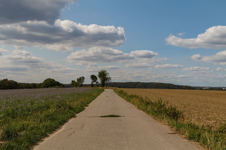 away, field, sky, landscape, nature, lane, road, cloud - sky HD wallpaper