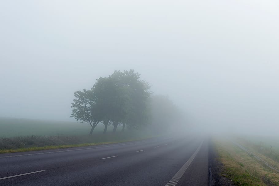 fog, trees, road, lane, path, grass, adventure, travel, trip HD wallpaper