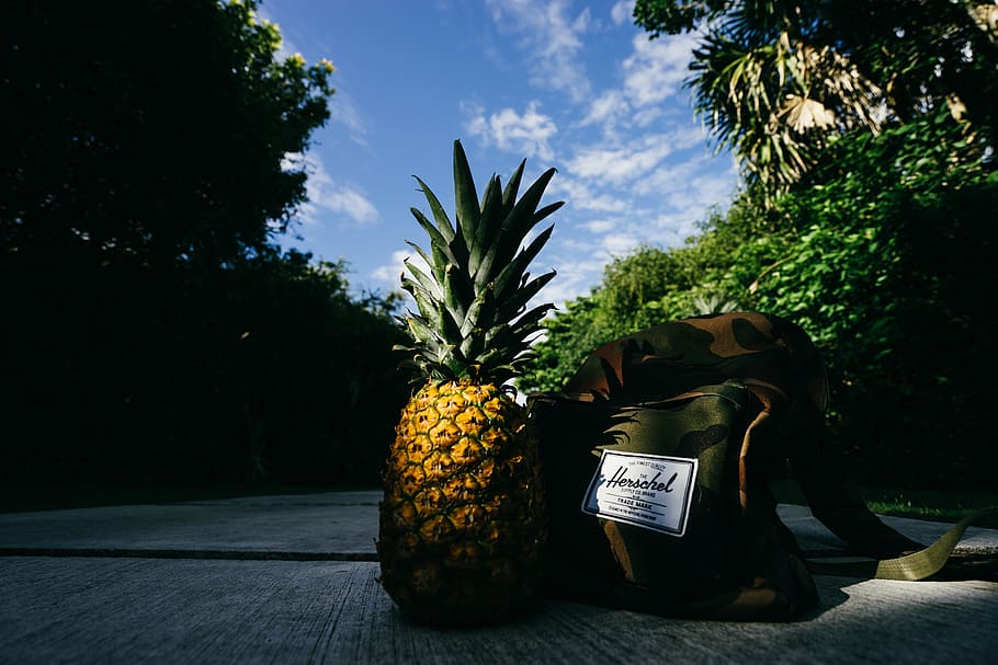 pineapple, dessert, appetizer, fruit, juice, crop, road, bag HD wallpaper