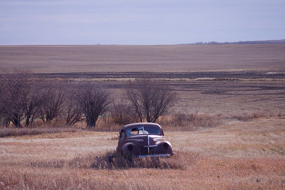 landscape, car, nostalgia, fall, stuck, barren, yellow, brown HD wallpaper