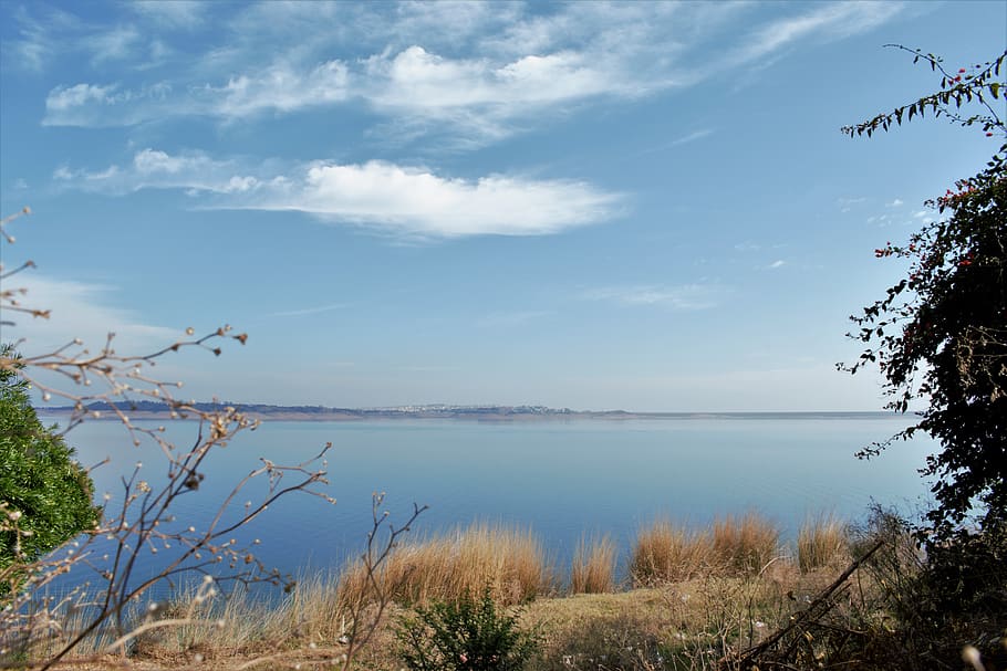 river, sky, bank, cloud - sky, water, tranquility, plant, beauty in nature HD wallpaper