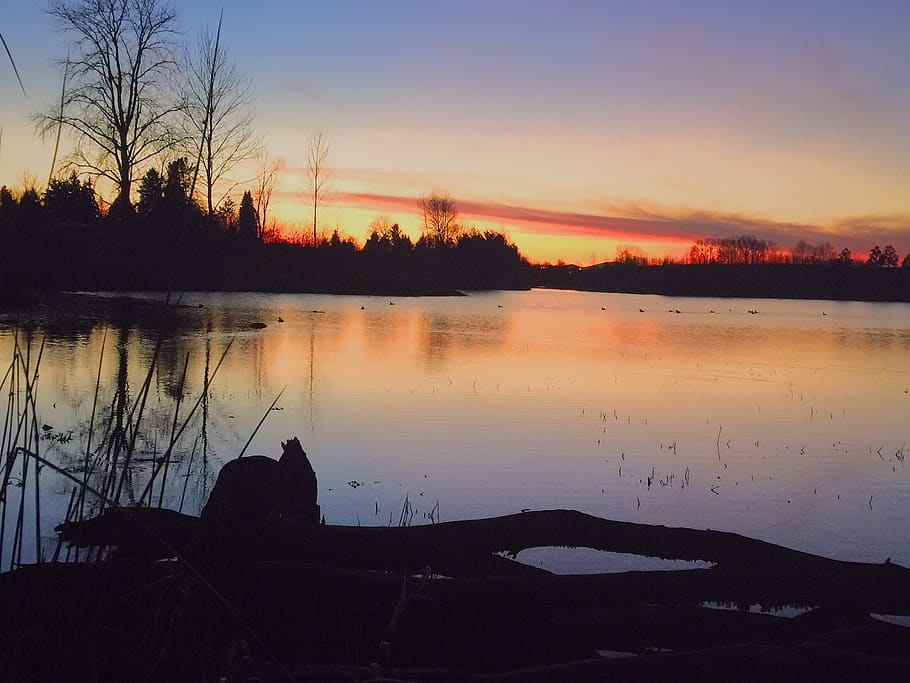 sunset, lake, shadow, silouette, log, reflection, lake sunset, HD wallpaper