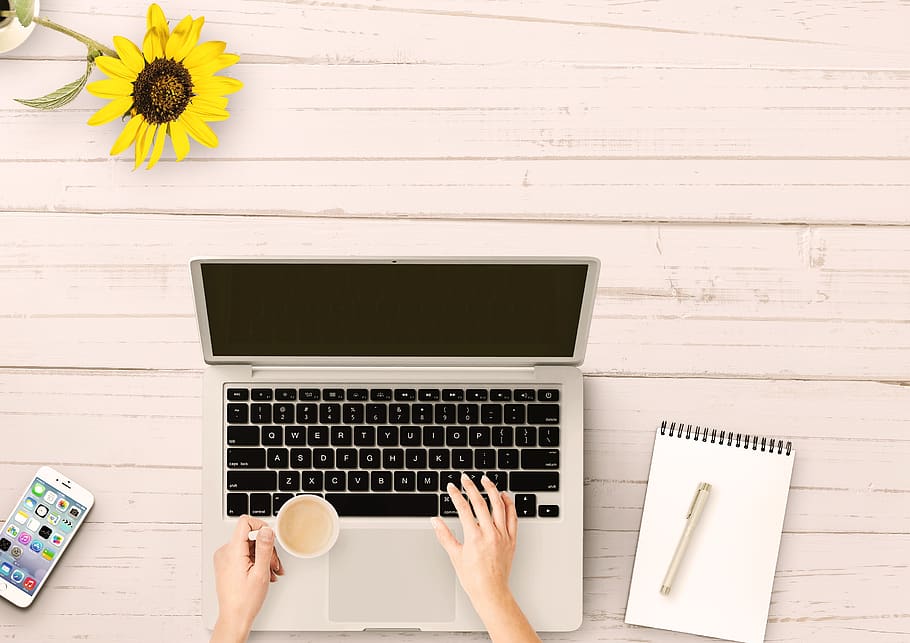 notebook, mobile phone, table, paper, sunflower, business, hands HD wallpaper