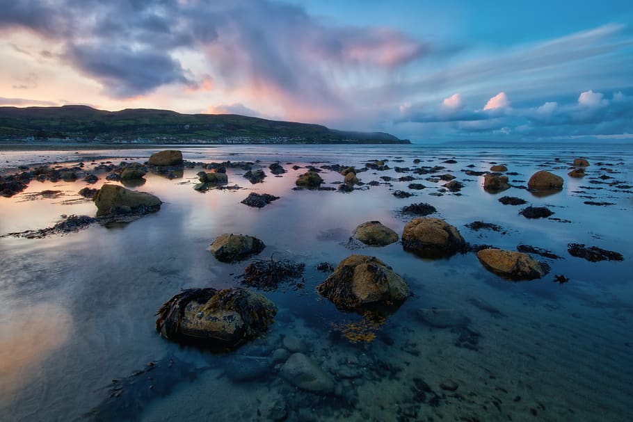 Body Of Water With Rocks, carnlough, County Antrim, dawn, nature