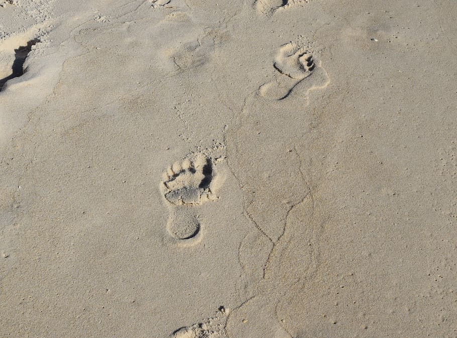 united states, panama city beach, footprints, sand, child prints, HD wallpaper