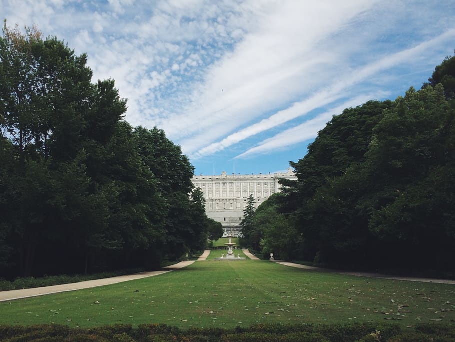 plant, tree, architecture, sky, built structure, cloud - sky HD wallpaper