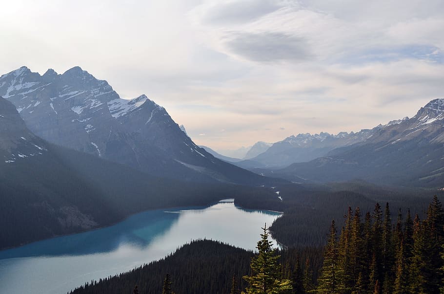 nature, forest, wilderness, mountain, snow, cloud, lake, valley HD wallpaper