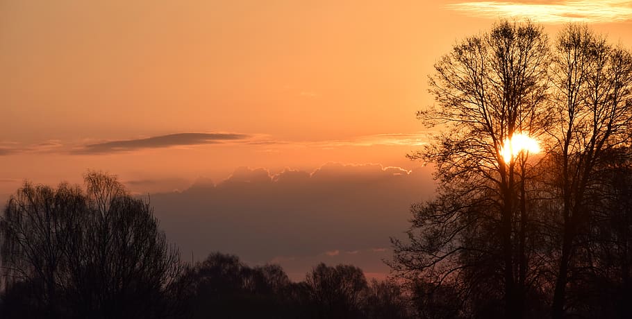 Silhouette Photography of Trees and Clouds, backlit, beautiful HD wallpaper