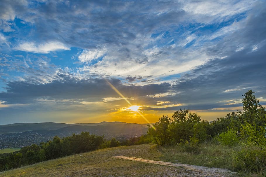 sunset, nature, nopeople, clouds, sky, cloud - sky, plant, beauty in nature HD wallpaper