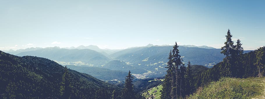 Mountains Beside Trees, adventure, alps, cloudy, conifer, country HD wallpaper