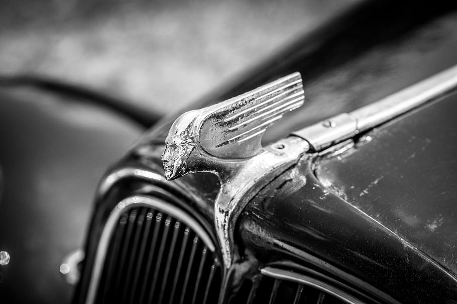 citroen, 11cv, grill, la selecteuse, close-up, car, motor vehicle HD wallpaper