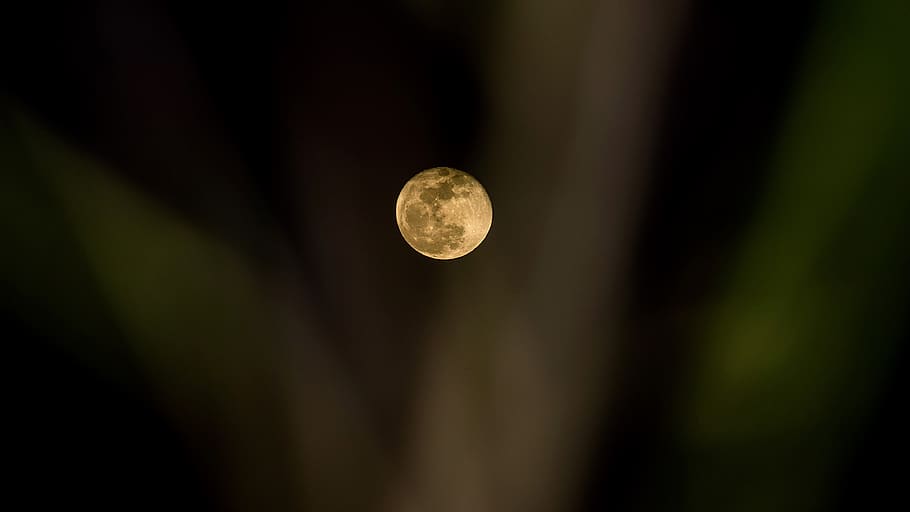 moon, fullmoon, night, moonlight, mysterious, dark, mystical HD wallpaper