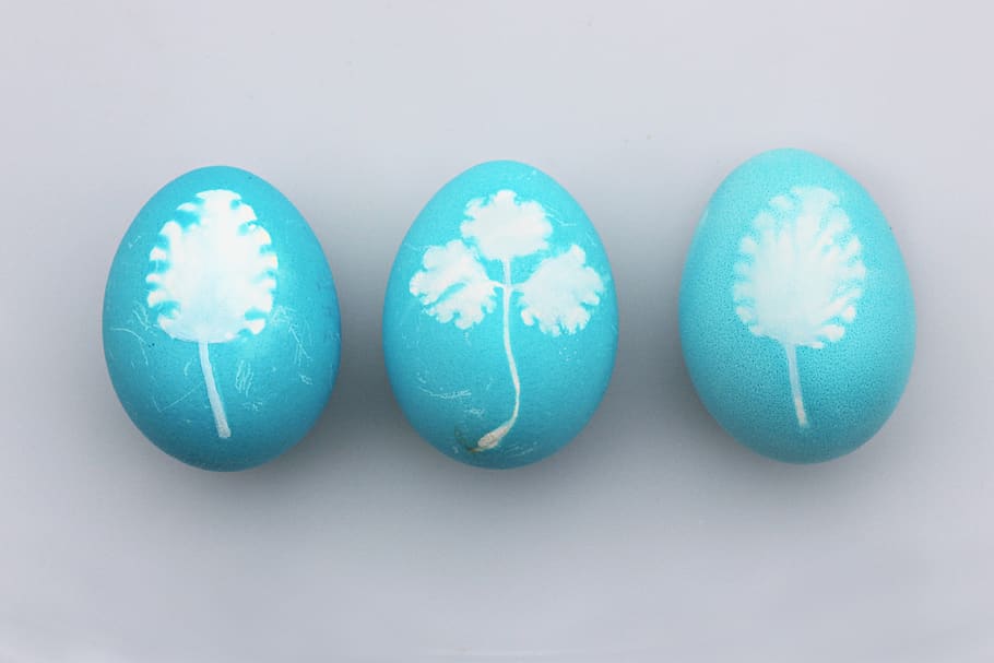 three teal-and-white painted eggs, easter egg, studio shot, food HD wallpaper