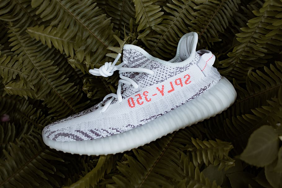 white and black adidas Yeezy Boost SPLY 350 V2 shoe, text, no people