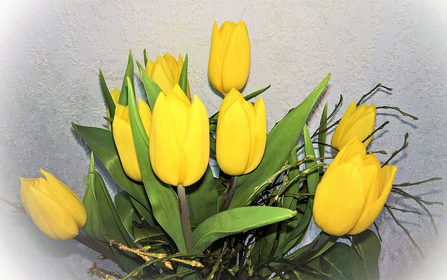 flowers, tulips, easter, easter bouquet, yellow tulips, fresh green HD wallpaper